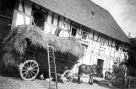 Schneiders 1936